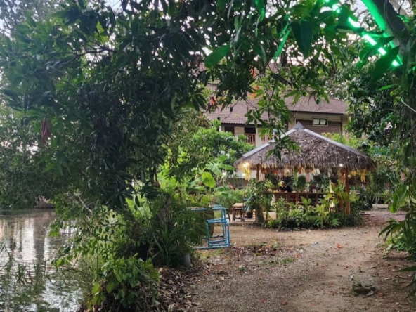 Chiang Mai-P-PCCS1133