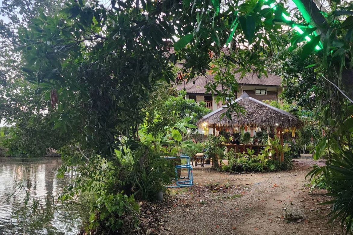 Chiang Mai-P-PCCS1133