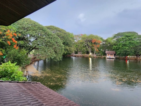 A large fishing park with restaurant for sale in Saraphi