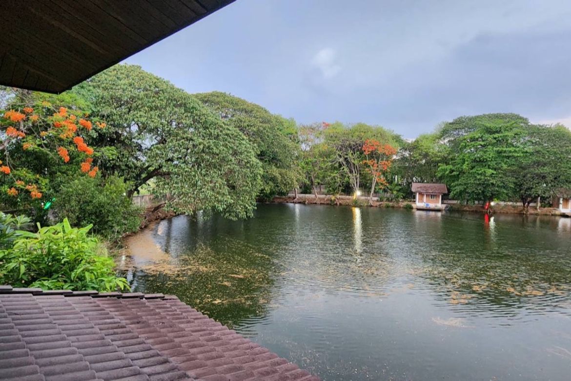 A large fishing park with restaurant for sale in Saraphi