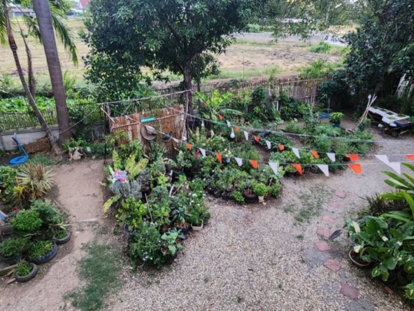 Chiang Mai-P-PCCS1133