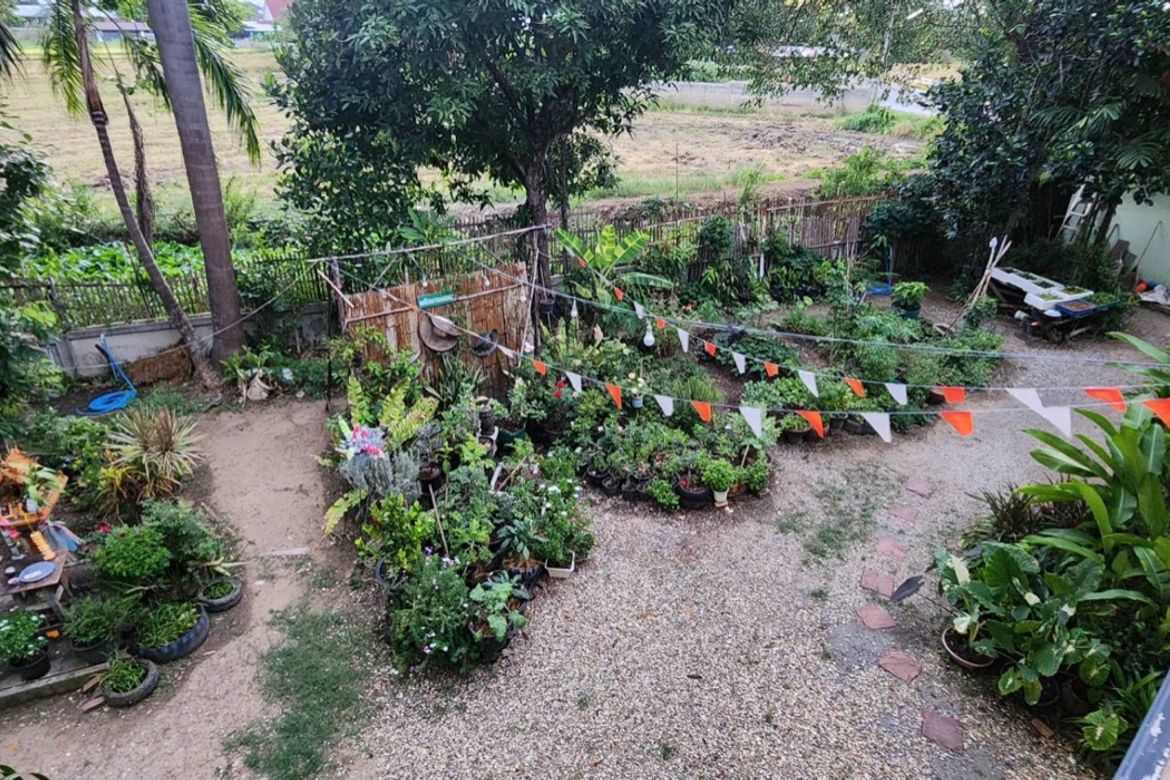 Chiang Mai-P-PCCS1133