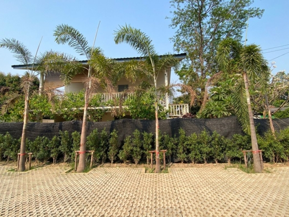Chiang Mai-P-PHR1125