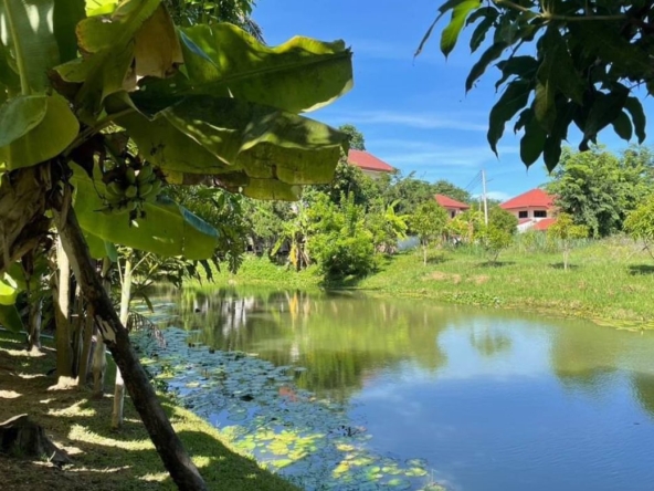 Doi Saket Chiang Mai-CMB-CMB04675
