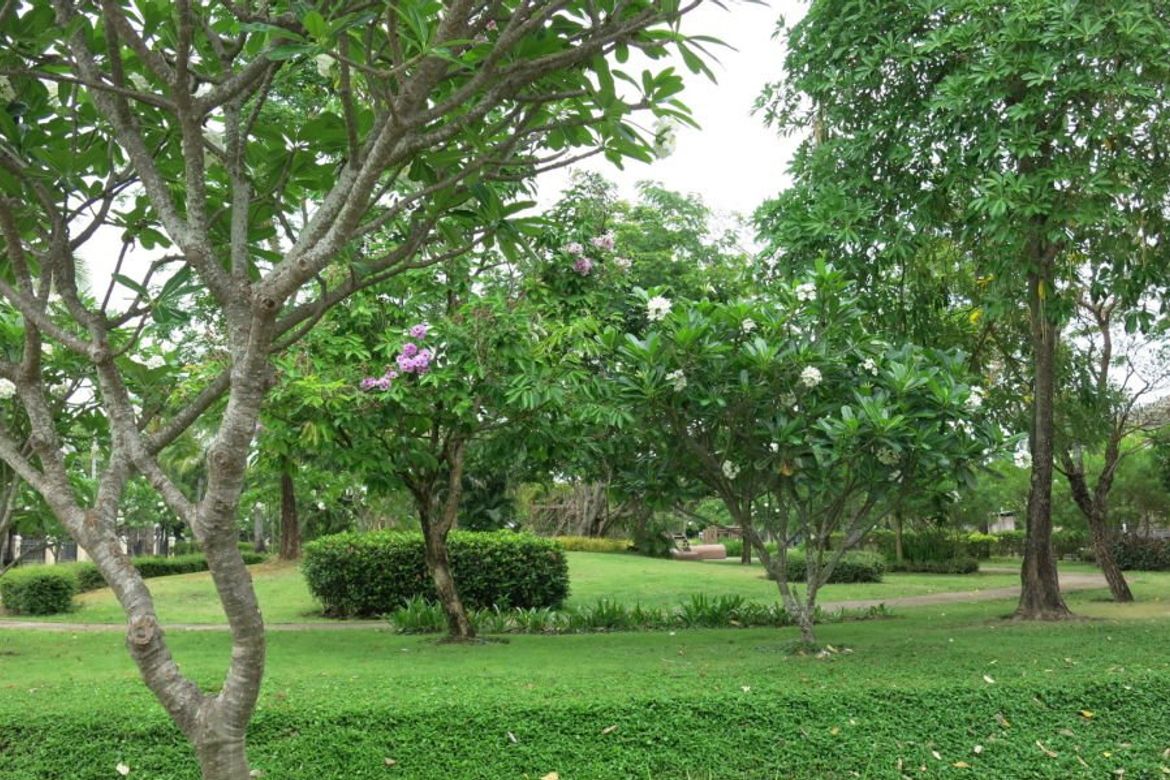 A spacious house 3 bed for sale in Doi Saket