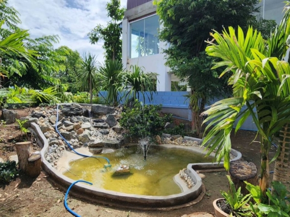 Chiang Mai-P-PHS1122