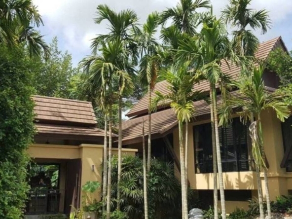 Chiang Mai-CMB-CMB04721