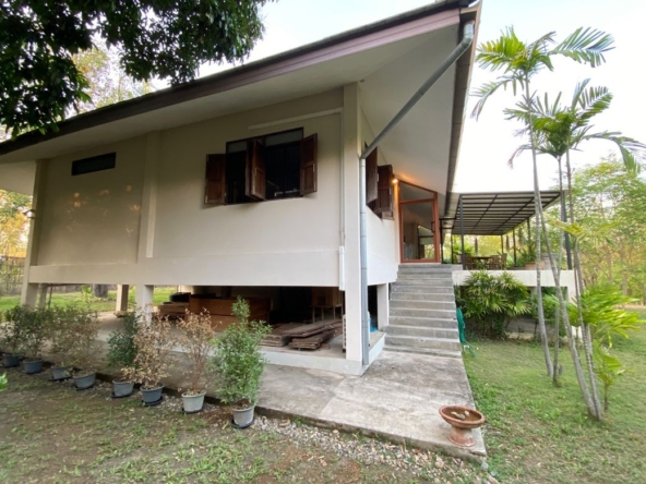 Chiang Mai-P-PHS1117