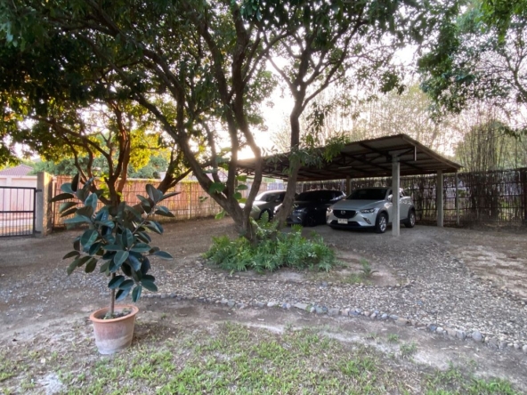 Chiang Mai-P-PHS1117