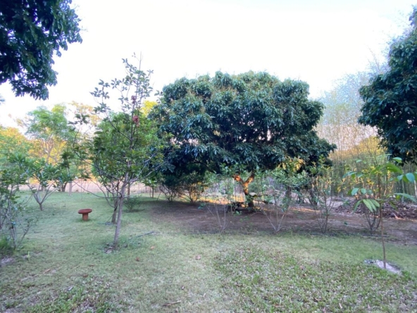Chiang Mai-P-PHS1117