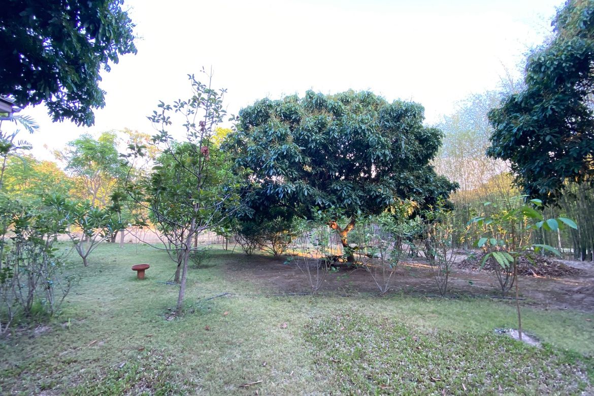 Chiang Mai-P-PHS1117