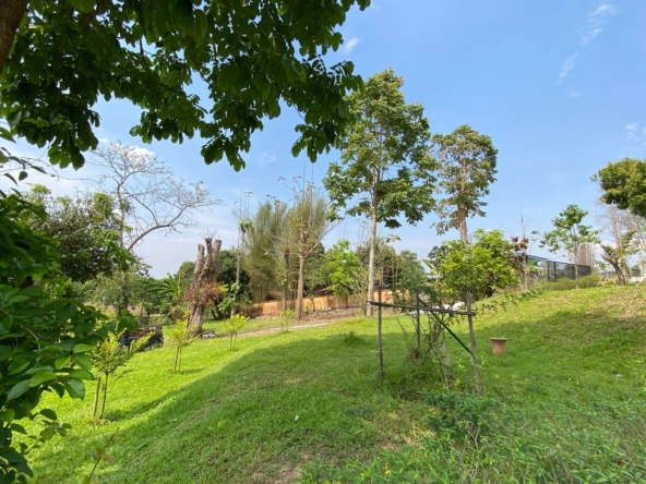 3 Bed House on the hill for sale in Huay Sai