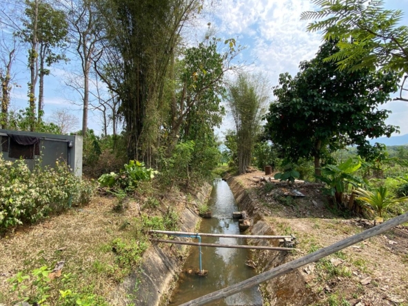 Mae Rim