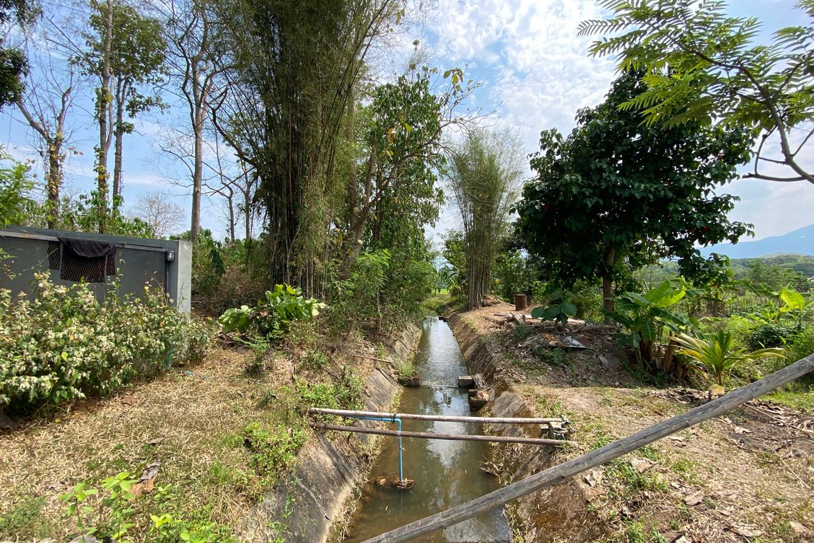 Mae Rim