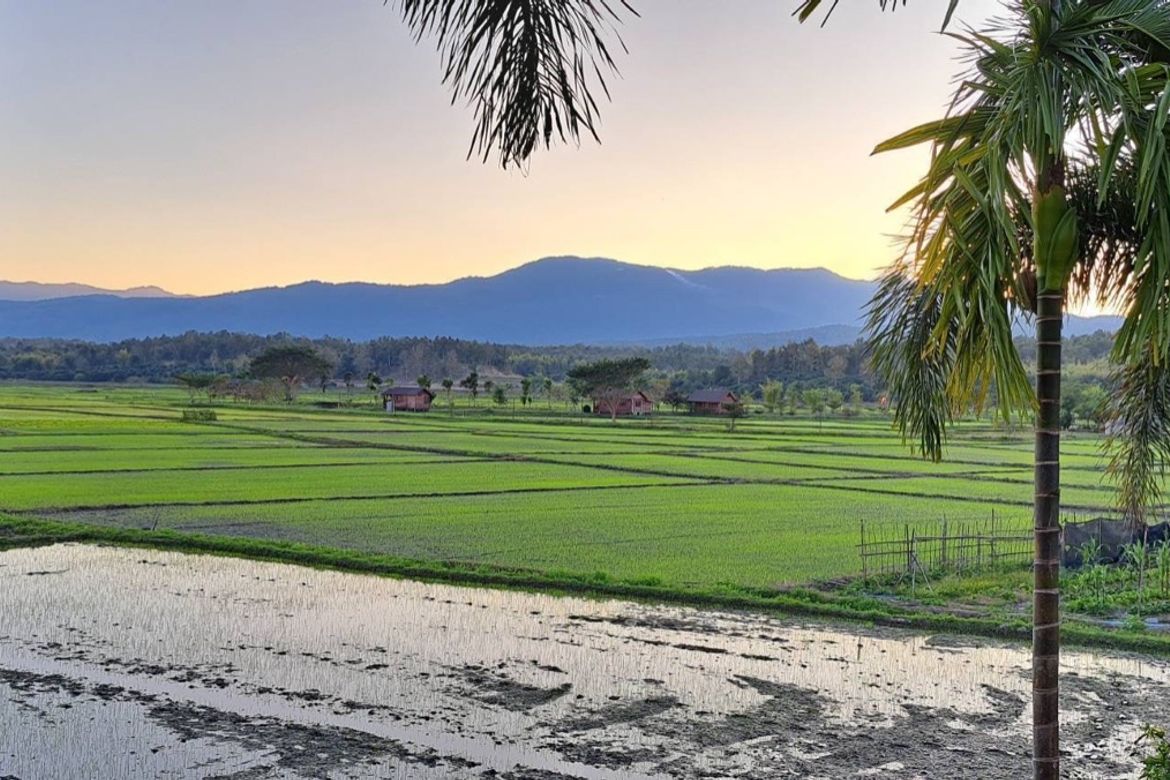 Chiang Mai-P-PHS1128