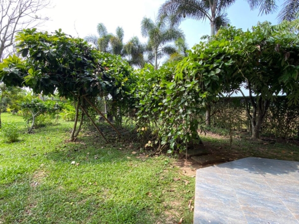5 bed house for sale in Mae Rim