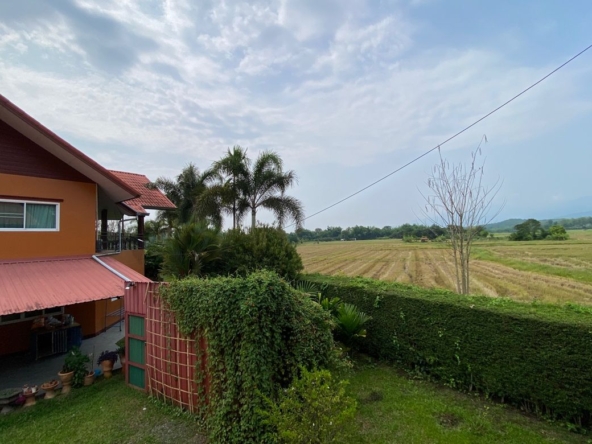 Chiang Mai-P-PHS1128