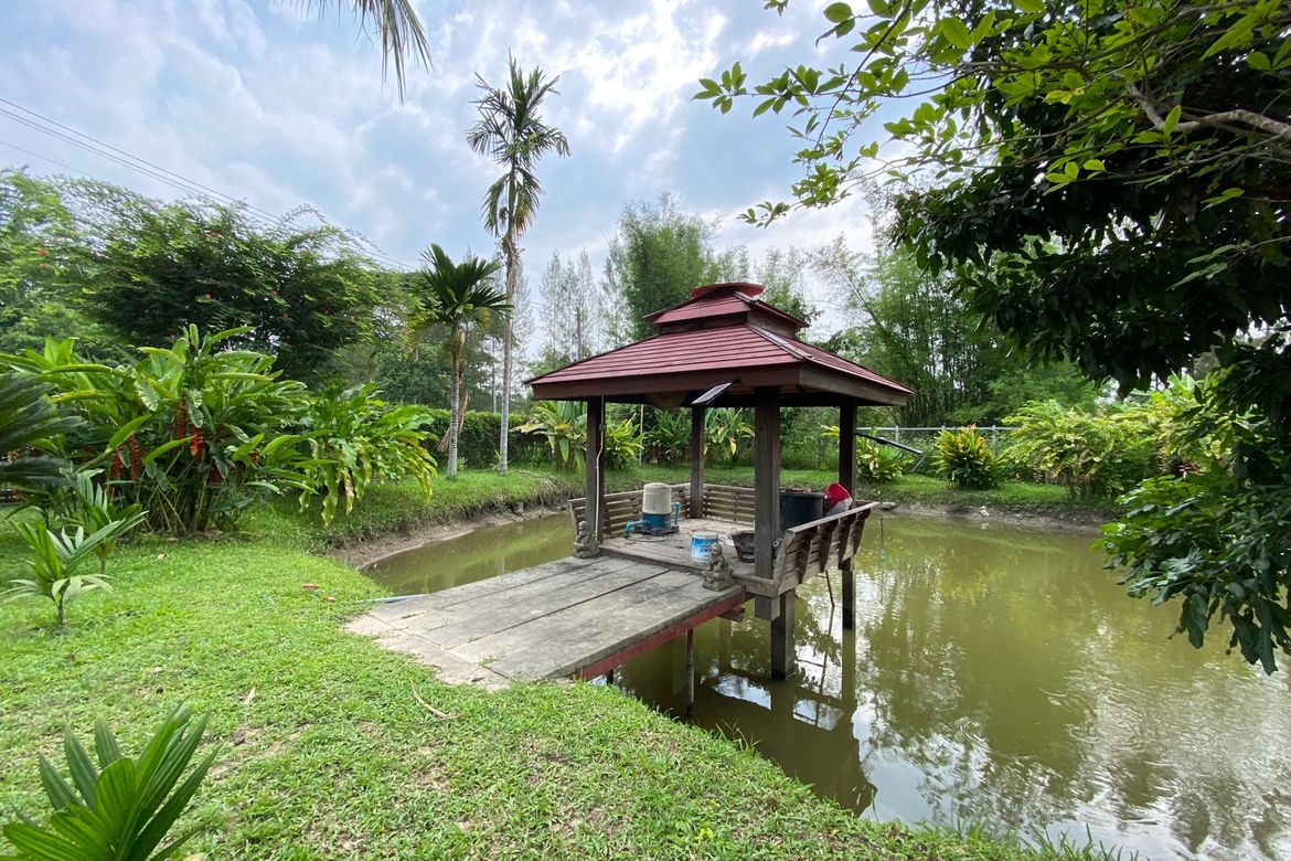 5 bed house for sale in Mae Rim