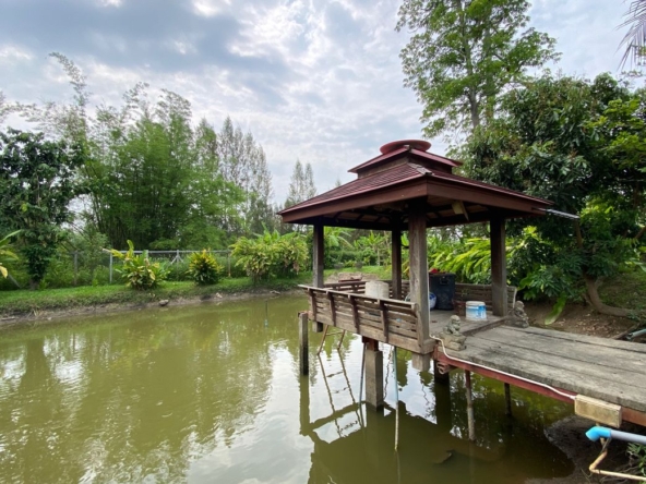 Chiang Mai-P-PHS1128