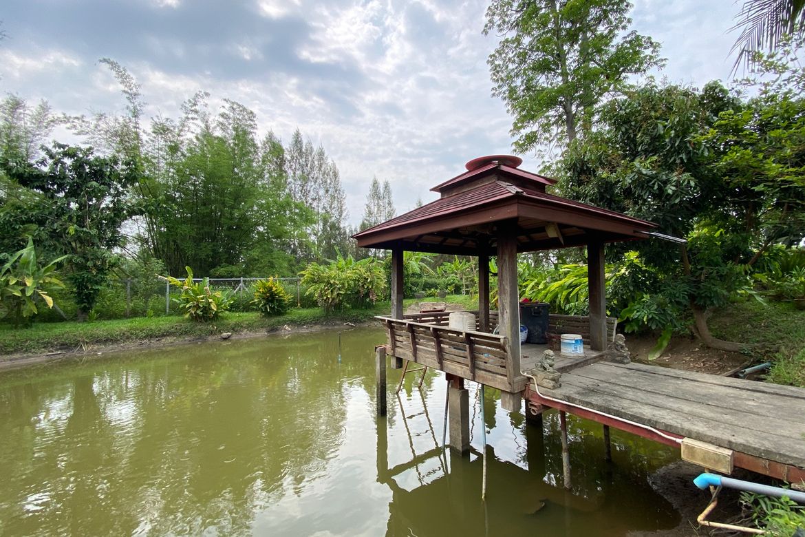 Chiang Mai-P-PHS1128