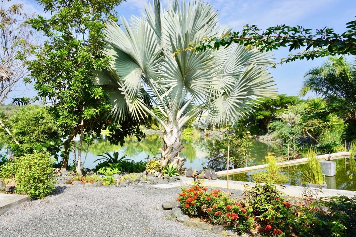 3 bed one storey house for sale in Mae Rim