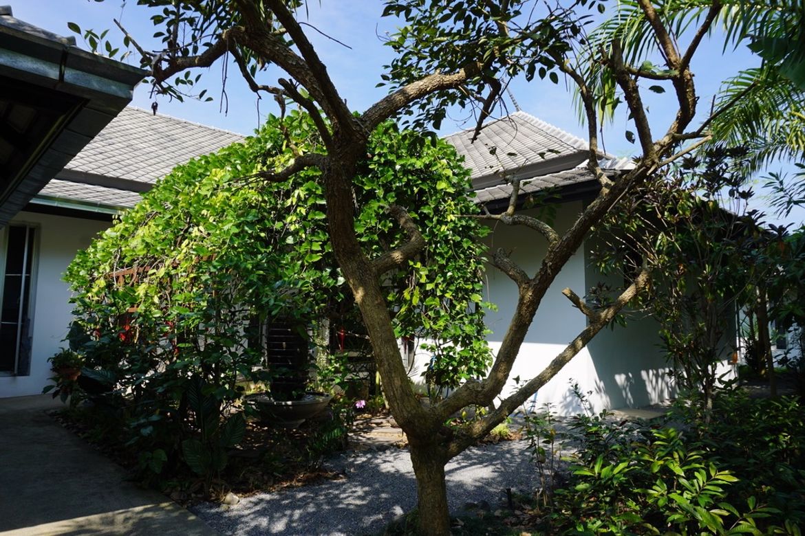 Chiang Mai-P-PHS214
