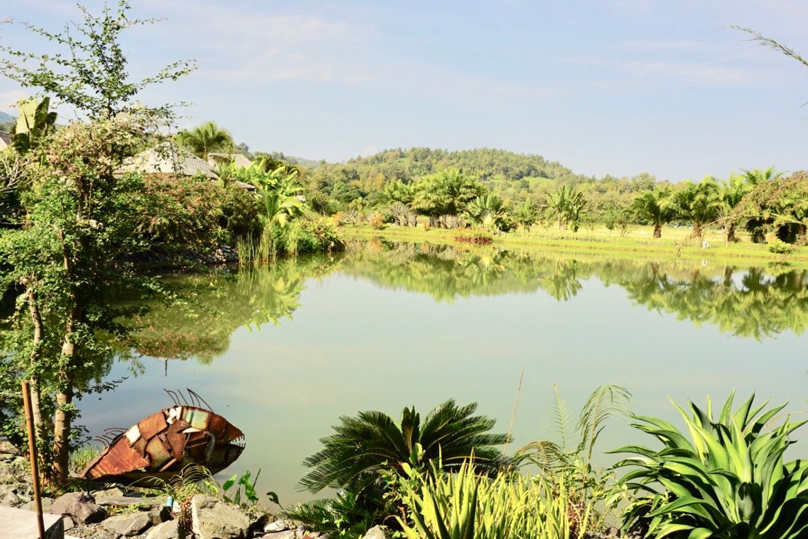 3 bed one storey house for sale in Mae Rim