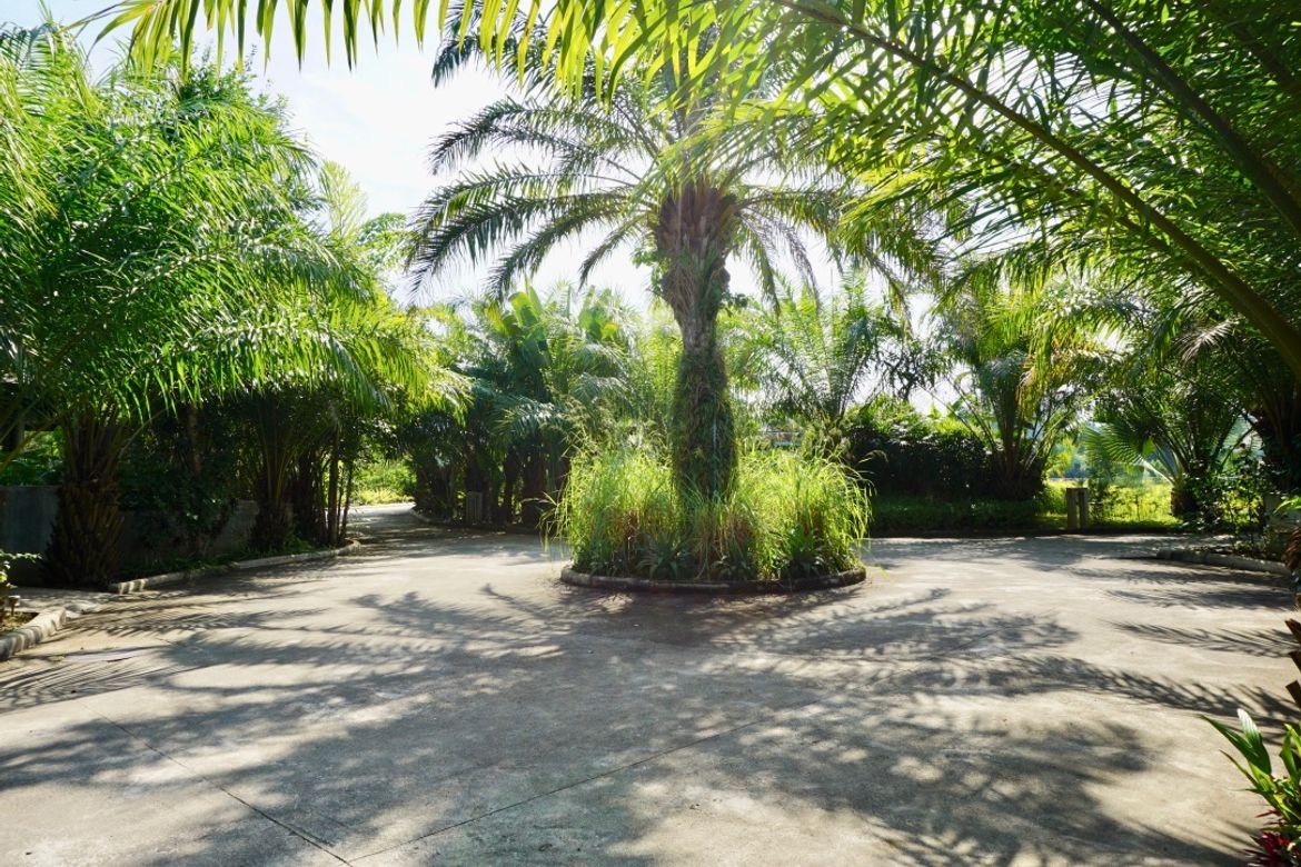Chiang Mai-P-PHS214