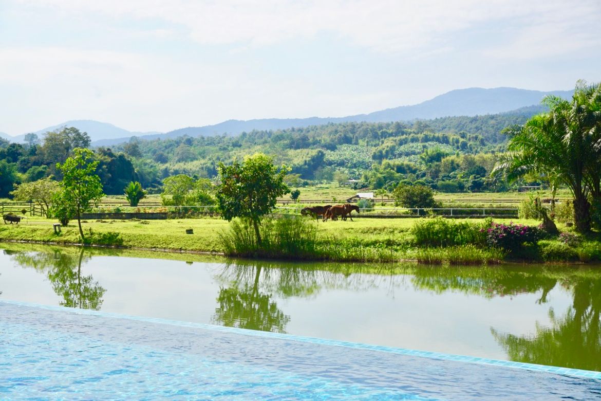 Chiang Mai-P-PHS214