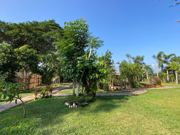 Chiang Mai-P-PHS1044