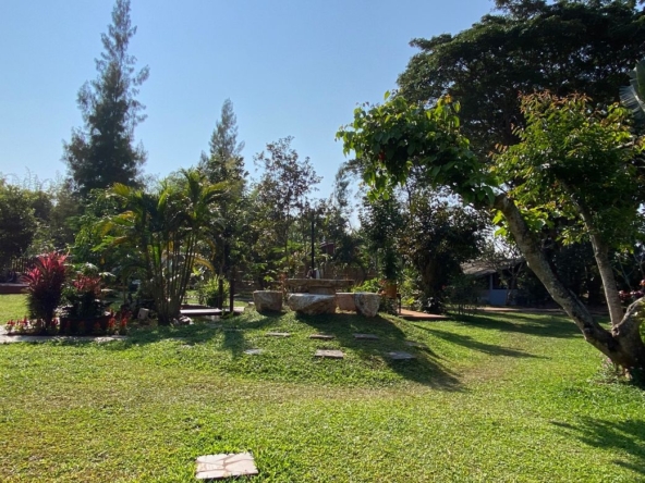 Chiang Mai-P-PHS1044