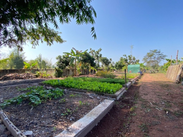 Chiang Mai-P-PHS1044