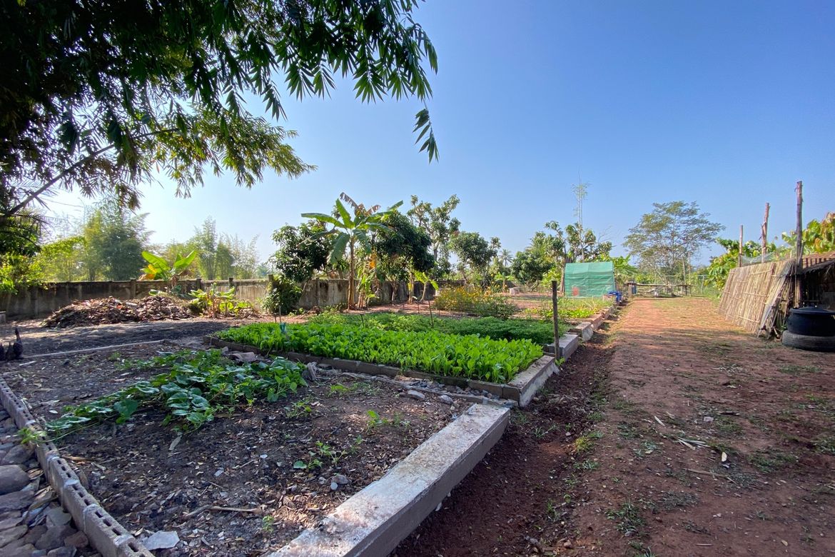 Chiang Mai-P-PHS1044