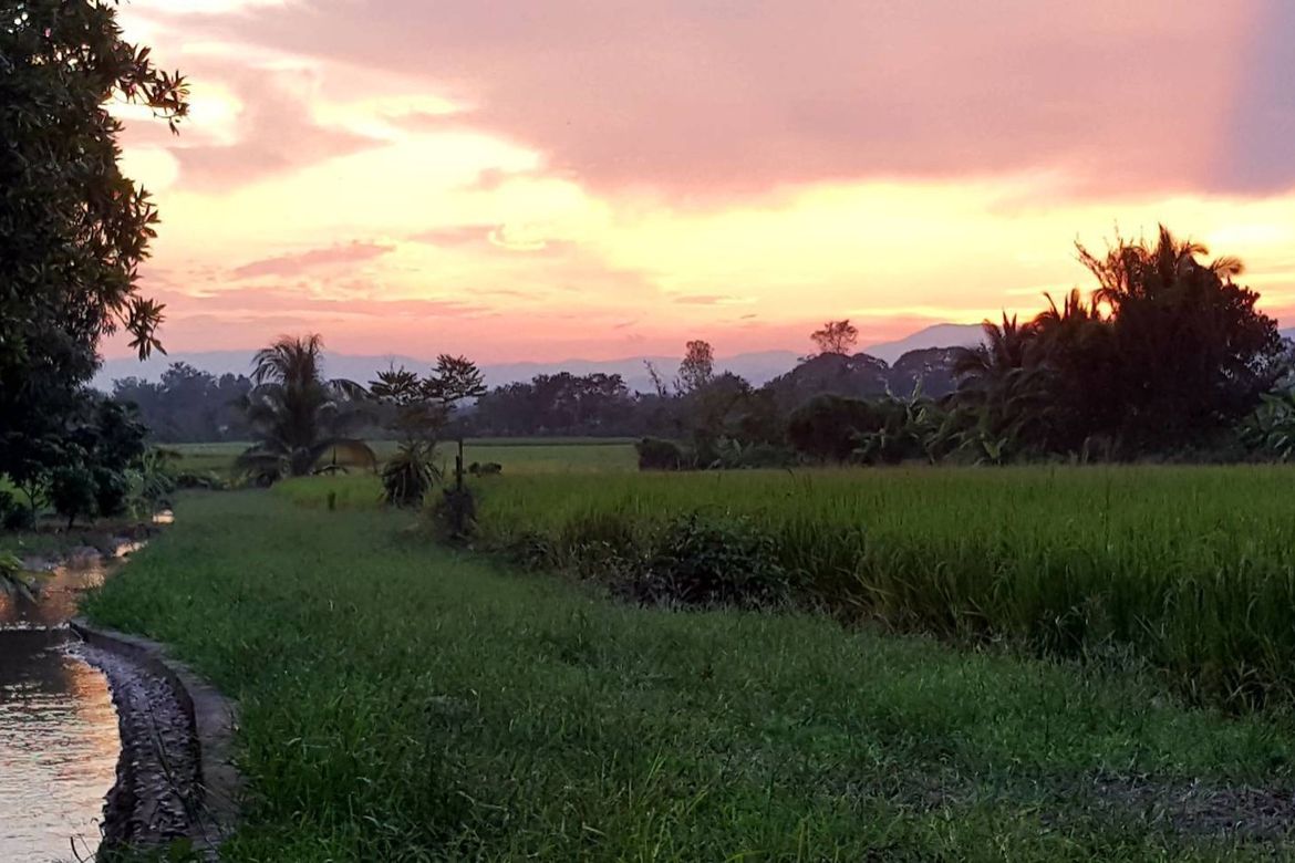 Chiang Mai-P-PHS1044