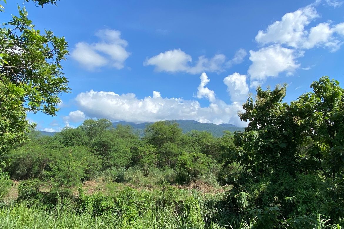 Chiang Mai-P-PHS1047
