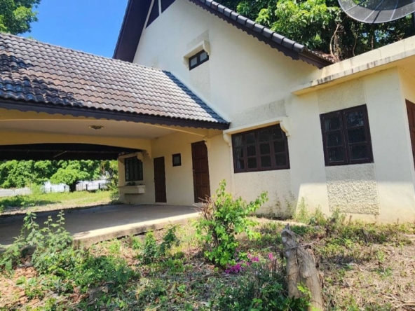 Chiang Mai-P-PHS1134