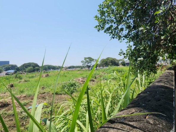 Chiang Mai-P-PHS1134