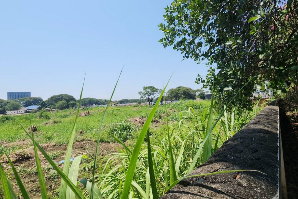 Chiang Mai-P-PHS1134