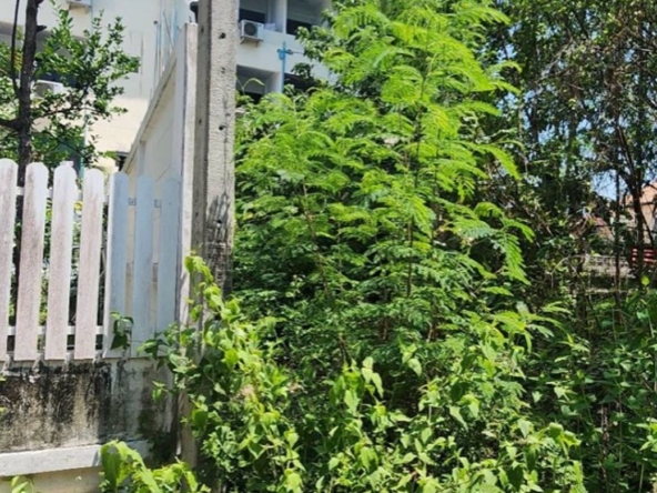 Chiang Mai-P-PHS1134
