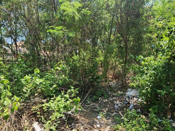 Chiang Mai-P-PHS1134