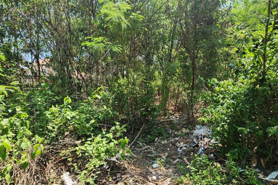 Chiang Mai-P-PHS1134