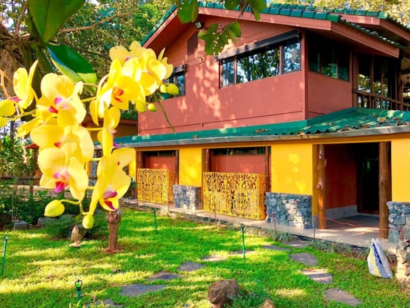 A 12 rai teakwood estate with luxury residence is for sale in Phrao area of Chiang Mai-P-PHS1127