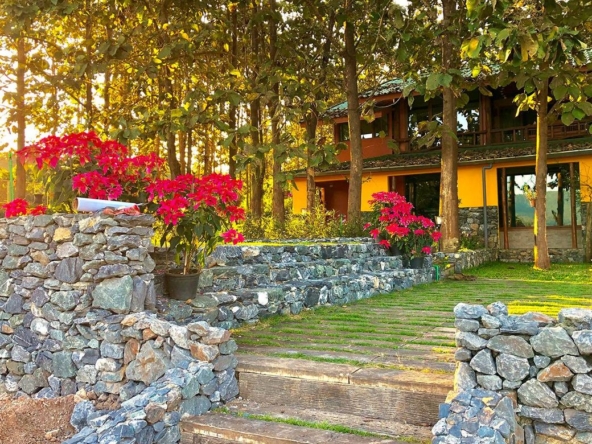 A 12 rai teakwood estate with luxury residence is for sale in Phrao area of Chiang Mai-P-PHS1127