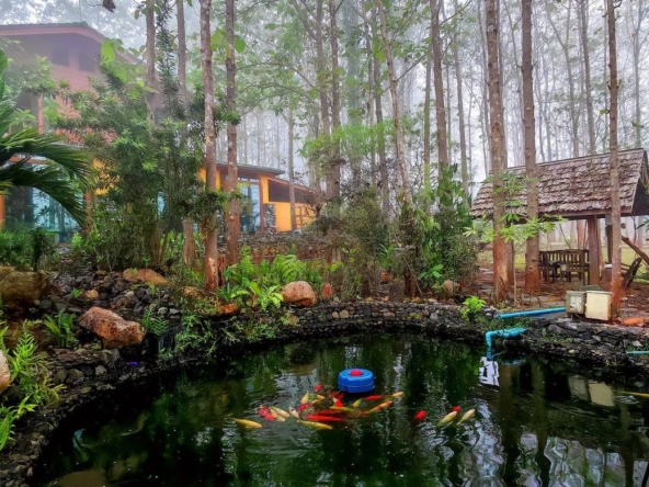 A 12 rai teakwood estate with luxury residence is for sale in Phrao area of Chiang Mai-P-PHS1127