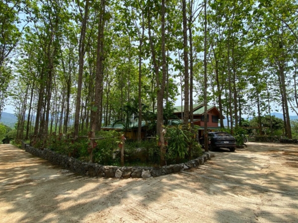 A 12 rai teakwood estate with luxury residence is for sale in Phrao area of Chiang Mai-P-PHS1127