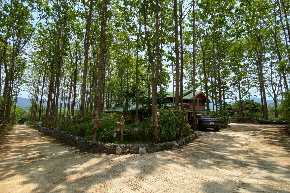 A 12 rai teakwood estate with luxury residence is for sale in Phrao area of Chiang Mai-P-PHS1127