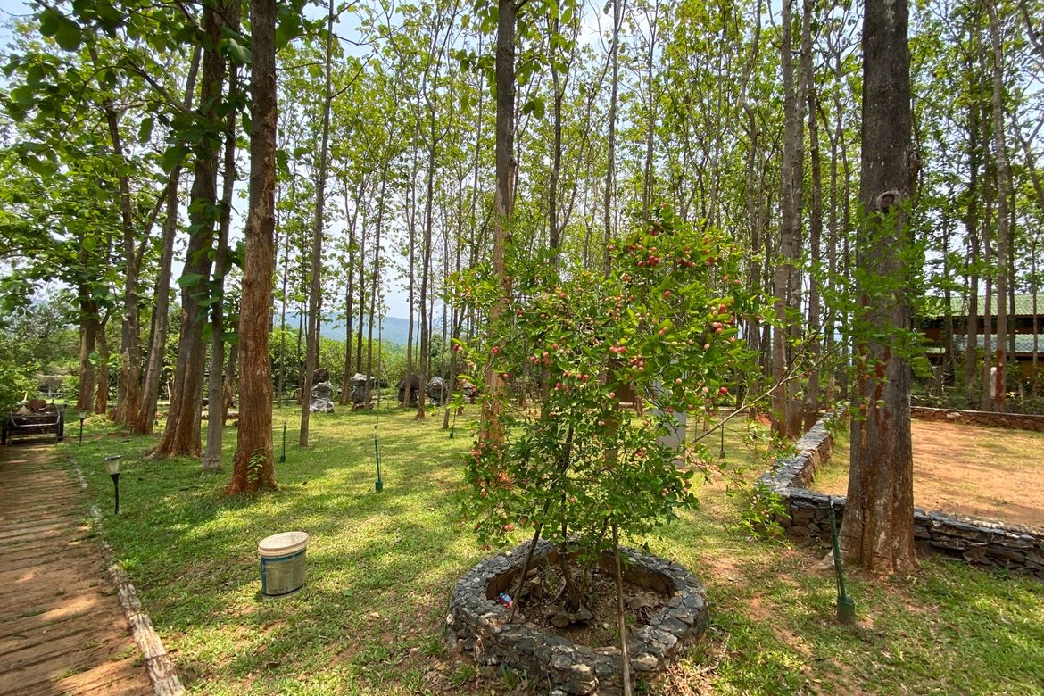 A 12 rai teakwood estate with luxury residence is for sale in Phrao area of Chiang Mai-P-PHS1127
