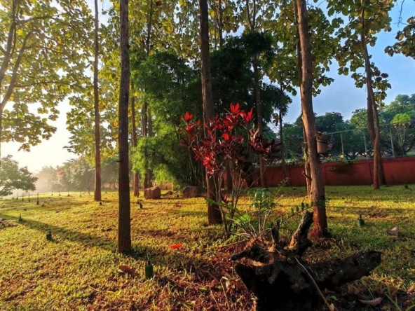 A 12 rai teakwood estate with luxury residence is for sale in Phrao area of Chiang Mai-P-PHS1127