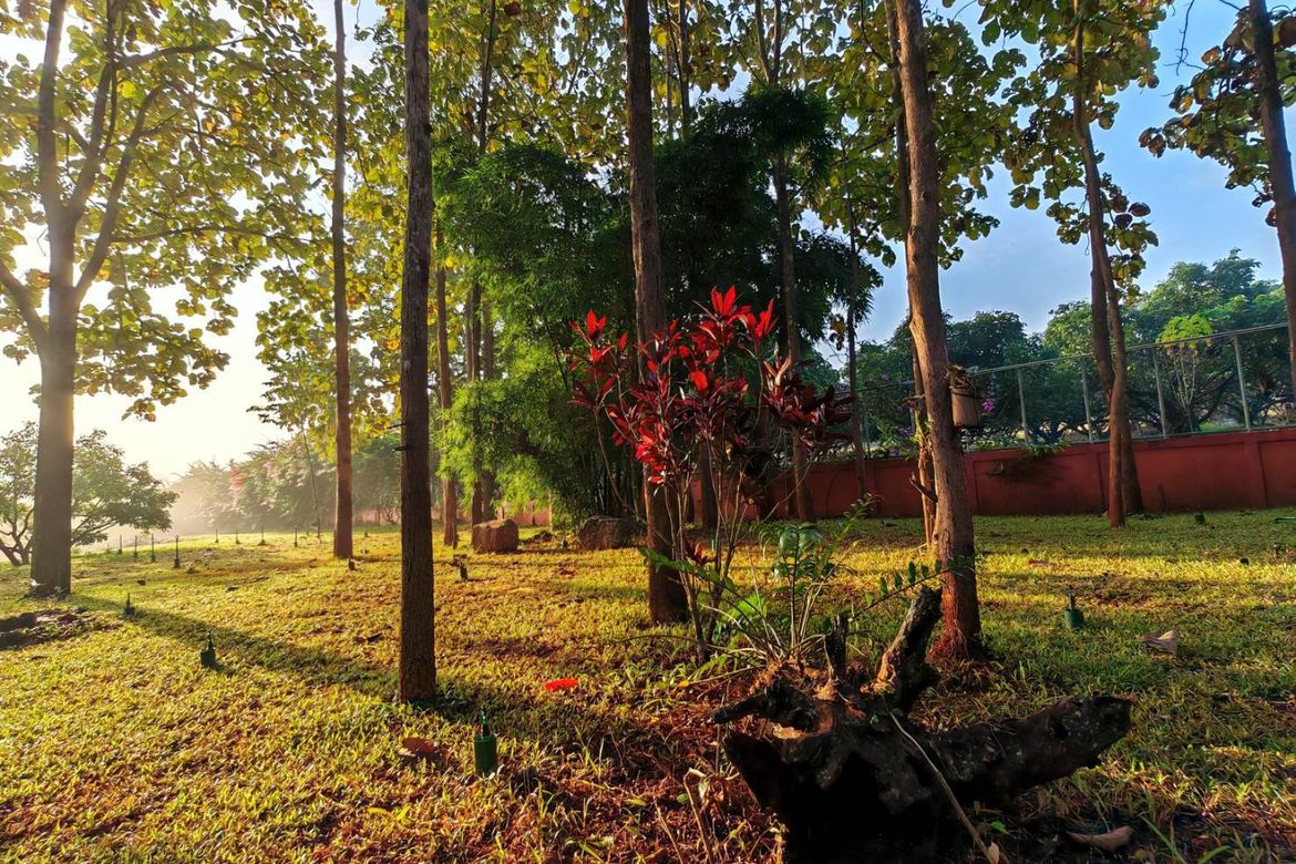 A 12 rai teakwood estate with luxury residence is for sale in Phrao area of Chiang Mai-P-PHS1127