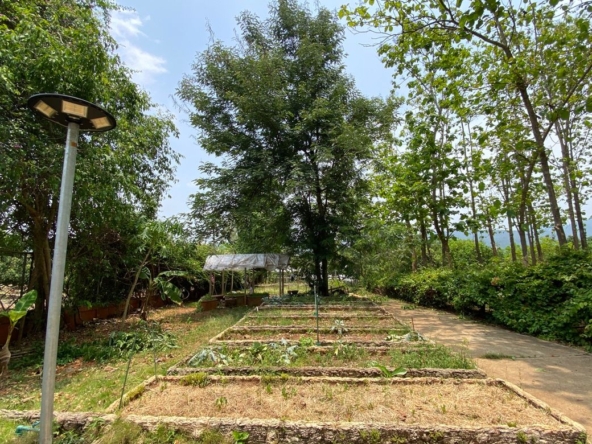 A 12 rai teakwood estate with luxury residence is for sale in Phrao area of Chiang Mai-P-PHS1127